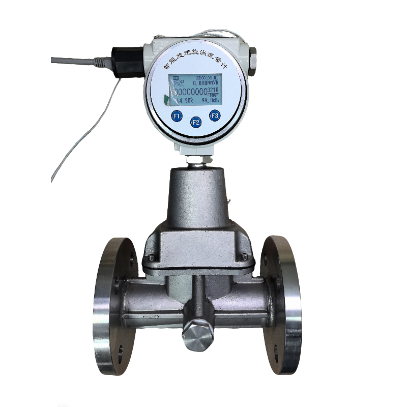 旋进漩涡流量计-以太网